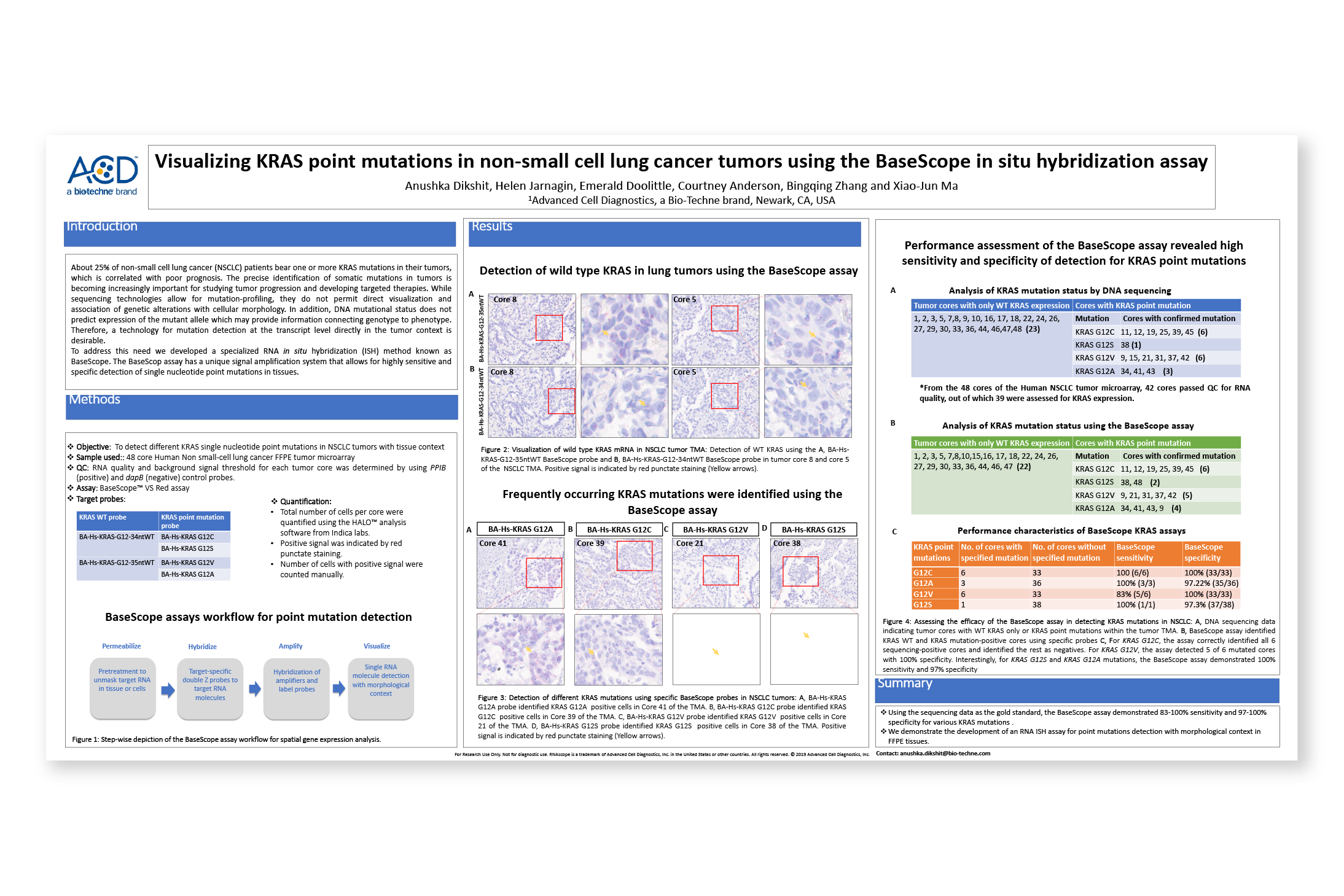 Visualizing KRAS point mutations in non-small cell lung cancer tumors using the BaseScope™ in situ hybridization assay